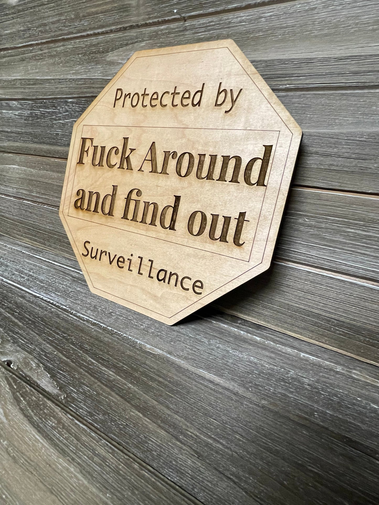 Protected by Fuck around and find out surveillance sign