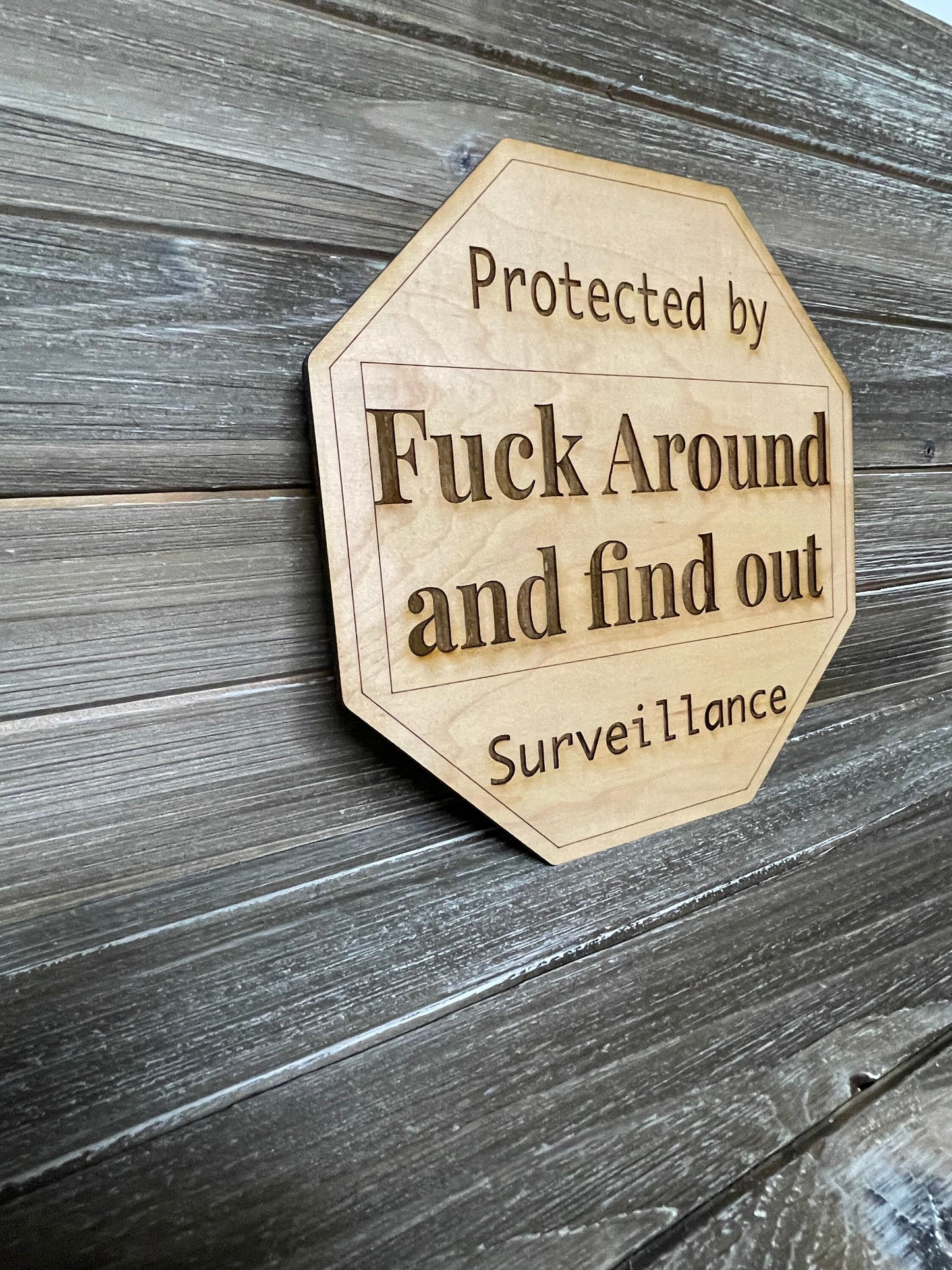 Protected by Fuck around and find out surveillance sign