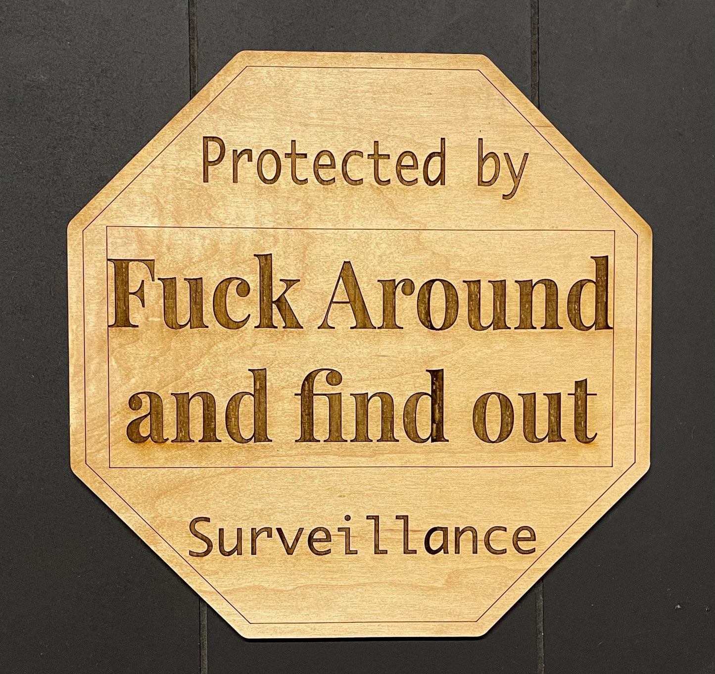 Protected by Fuck around and find out surveillance sign